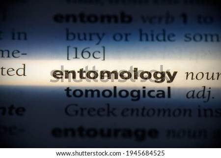 entomology word in a dictionary. entomology concept, definition.