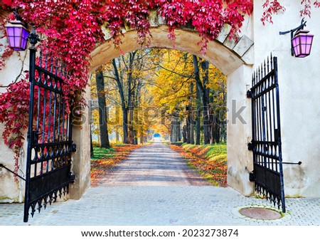 Entrance to the autumnal countryside road among ancient park