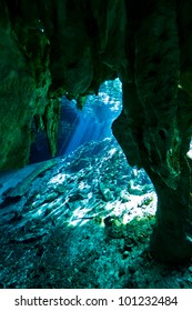 The Entrance To Gran Cenote In Tulum, Mexico