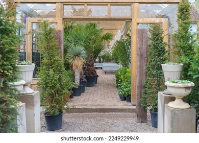 Entrance to greenhouse with exotic plants brought from countries with tropical climate grown in heated glass room. Path among coniferous trees in pots and columns with sculptures in form of vases - Powered by Shutterstock