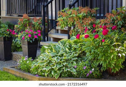 Entrance To A Home Through A Beautiful Garden With Colorful Flowers. Plants And Flowers In Pots On A Doorstep Leading To Entrance Of A House. Front Of A House With Garden Design. Nobody, Street Photo