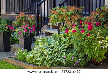 Entrance to a home through a beautiful garden with colorful flowers. Plants and flowers in pots on a doorstep leading to entrance of a house. Front of a house with Garden design. Nobody, street photo