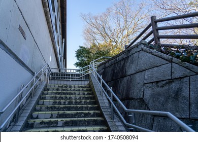 Mihara Images, Stock Photos & Vectors | Shutterstock