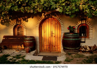 Entrance of a traditional wine cellar with vine on the roof in Pálava region in a warm evening light - Czech republic, Europe