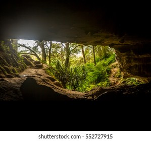 Entrance To Waipu Caves, New Zealand