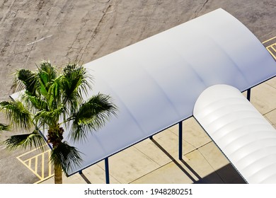 Entry Portal Of Cruise Terminal And Palm Tree Tampa Bay FL USA