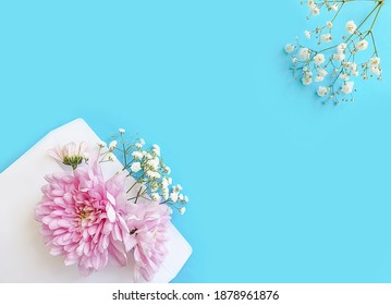 Envelope, Flower On A Colored Background