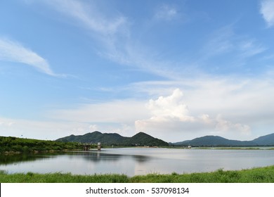 environment