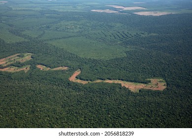 Environment. Aerial view of the cropland and deforestation traces in the green forest. 