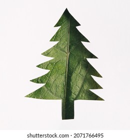 Environment Care Concept.  Layers of Paper Cut as Green leaf Texture Surface in shape of Christmas tree. Earth Day and Ecology. Sustainable Resources, Green leaf, tree.