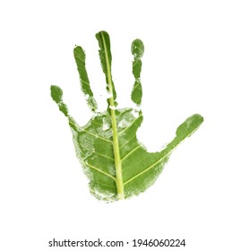 Environment Care, ESG Concept. Handprint as Green leaf Texture Surface. Earth Day and Ecology. Sustainable Resources, Hand of a Volunteer. Isolated on White background