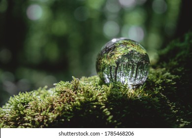 Environment Concept, A Crystal Ball Lies On A Moss In The Forest, Reflection Of The Forest. Concept And Theme Of Nature, Environmental Protection. Relaxation. Glass Material.