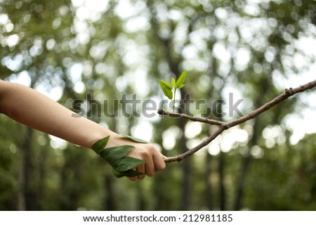 Similar – Image, Stock Photo souvenir Lifestyle Style
