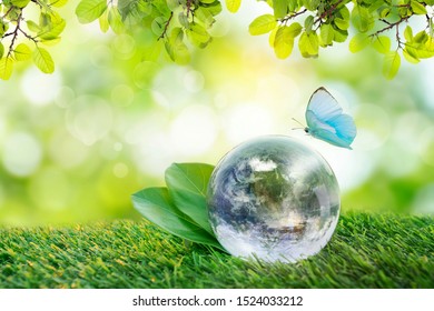 Environment conservation concept. Close up of glass globe in the forest with copy space - Shutterstock ID 1524033212