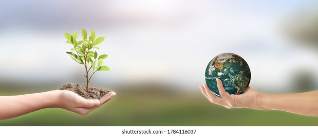 World Environment Concept Human Hand Holding Stock Photo 1496269949 ...