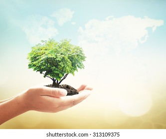 Environment day concept: Human hands holding tree in shape heart on blurred world map of clouds sunset background - Shutterstock ID 313109375