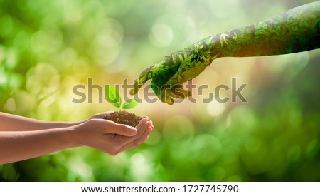 environment Earth Day Hands from nature.Girl hands holding trees growing on bokeh green background. Ecology and Nature concept.