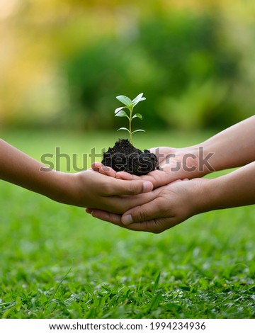 Environment Earth Day In the hands of trees growing seedlings. Bokeh green Background. A mother and kid's hand holding tree on nature field grass.Forest conservation concept. Teaching kids to plant. 
