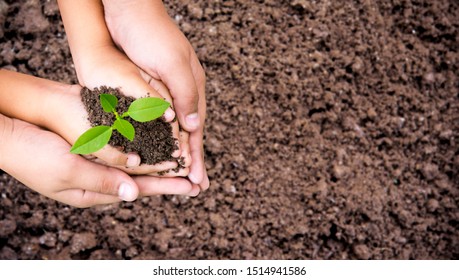 Environment Earth Day ,Woman and children are helping holding green seedling on soil, top view, Space for text, Forest conservation concept. - Shutterstock ID 1514941586