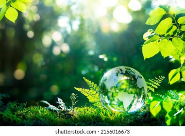 Environment. Glass Globe On Grass Moss In Forest - Green Planet With Abstract Defocused Bokeh Lights - Environmental Conservation Concept