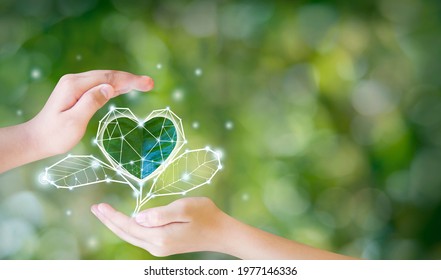 The environment in the hands of the tree planted seedlings is protected by the heart. Green background, bokeh, tree on grassland, nature, forest conservation concept, world conservation concept.