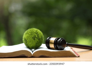 Environment Law. Green globe placed and gavel on a law book. law for principles of sustainable environmental conservation. environmental protection and eco-friendly legislation law. Save Earth.ESG