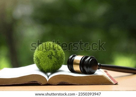 Environment Law. Green globe placed and gavel on a law book. law for principles of sustainable environmental conservation. environmental protection and eco-friendly legislation law. Save Earth.ESG 商業照片 © 