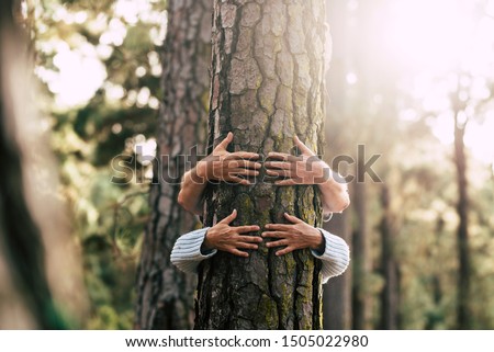 Environment people save the planet and stop deforestation concept with hidden couple of senior hugging with love an old big tree pine in  the forest -defocused wood in backgorund