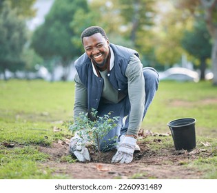 Environment  portrait   black man plant trees in park  garden   nature for sustainability  Community service  soil gardening   smile for volunteering  sustainable growth   happy green ecology