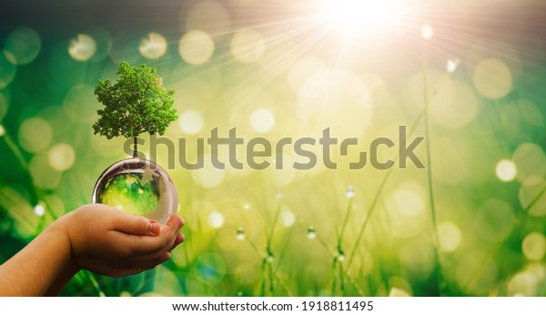 Environment, save clean planet, ecology concept.\
Child hands holding crystal earth globe and growing tree.  Earth\
Day banner with  copy\
space