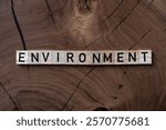 ENVIRONMENT text on wooden blocks. Environment word written on wood blocks. Environment text on slices of wood with visible grain. Concept.