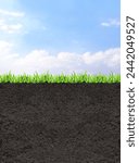 Environmental and conservation protection background. Cross section of grass and soil against blue sky background. Black ground, green grass and blue sky with white clouds. Copy space for text