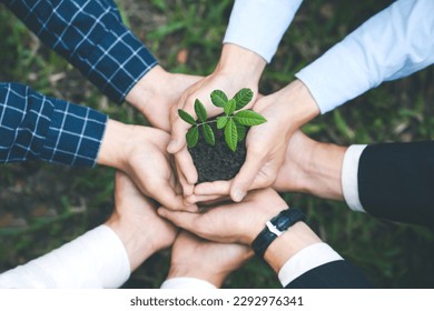 Environmental cooperation. Unity of businesspeople and community together protecting small sprout with hands. Future environmental conservation and sustainable ESG modernization development.
 - Powered by Shutterstock