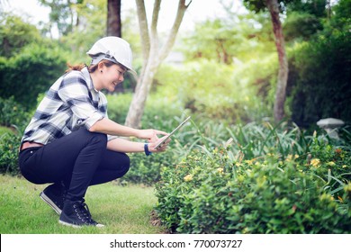 Environmental Engineer Wearing White Hard Hat Helmet And Taking Plant Photo While Working Digital Tablets For Social Networks.