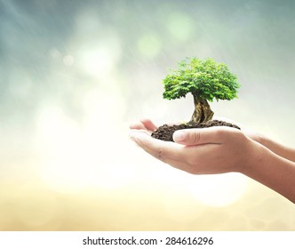 Environmental friendly concept: Human hand holding big tree over blurred green nature background - Shutterstock ID 284616296