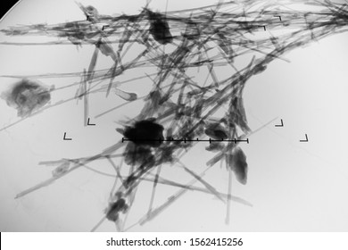 Environmental laboratory, Chrysotile fibers (asbestos variety) seen on the fluorescent screen of a transmission electron microscope (TEM), x30 000 magnification
