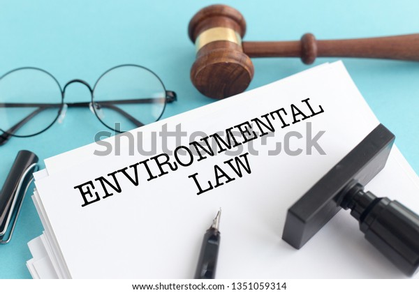 international-environmental-law-essay-200801-international