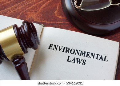 Environmental Law Title On A Book And Gavel.