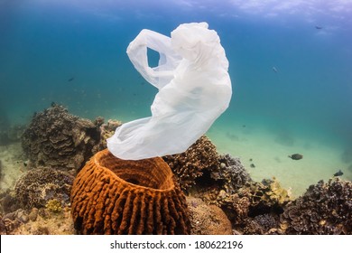 Environmental Pollution - A discarded white plastic bags drifts over a tropical coral reef