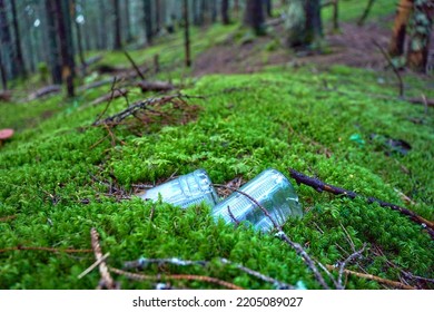 Environmental pollution. Glass and plastic pollution in forest. A carelessly throw away water bottle on the tourist route. Trash in the forest. Midday on the way to forest. World ecology problem. 