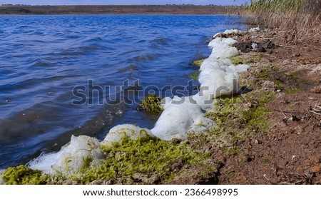Environmental problem and pollution, eutrophication of a natural reservoir, dirty foam on the shore, Tiligul estuary
