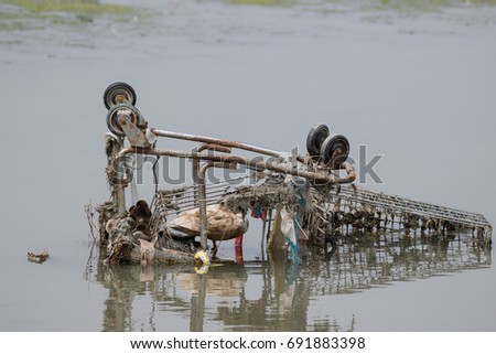  Environmental Problems