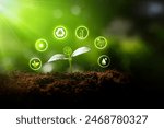 Environmental protection, renewable, sustainable energy sources. Plant growing in the bulb concept.sustainable development. ecology and world sustainable environment concept.