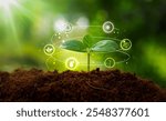 Environmental protection, renewable, sustainable energy sources. Plant growing with icons concept.sustainable development. ecology and world sustainable environment concept.