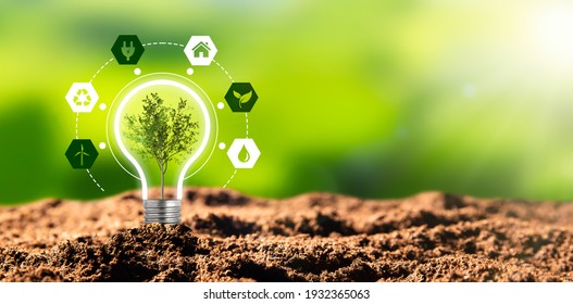 Environmental protection, renewable, sustainable energy sources. Plant growing in the bulb concept - Shutterstock ID 1932365063