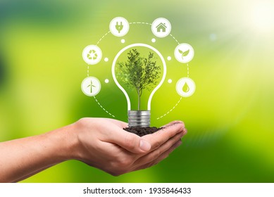 Environmental protection, renewable, sustainable energy sources. Plant growing in the bulb concept - Powered by Shutterstock