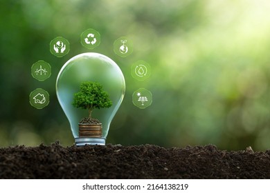 Environmental Protection, Renewable, Sustainable Energy Sources. Plant Growing In The Bulb With There Are Environmental Icons All Around.Energy-saving And Environmental Concepts On Earth Day