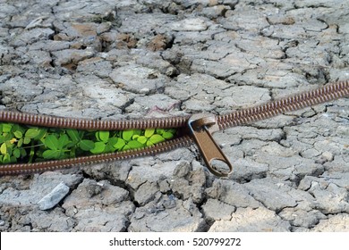 Environmentally Friendly Concept : Change The Arid Soil To The Green Plant