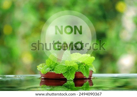 Environmentally friendly herbal plants without genetic modification, natural, non-GMO, GMO-free. Fresh Organic from Local Farms.
