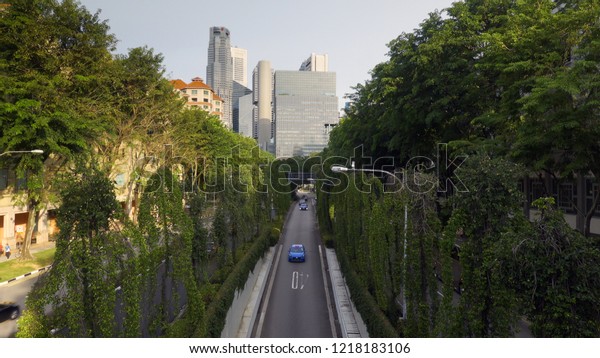 Environmentally friendly Singapore road\
surrounded by\
greenery.